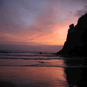 banner5