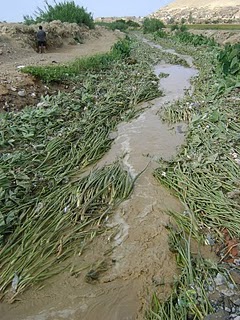 SE DESBORDA EL RIO MALA…